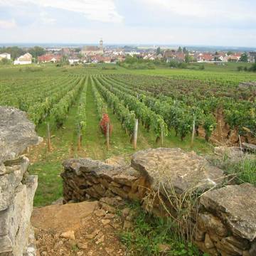 Château de Semur-en-Auxois